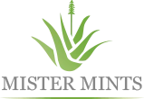 Mister Mints